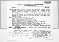 Image Associated With the Occurence